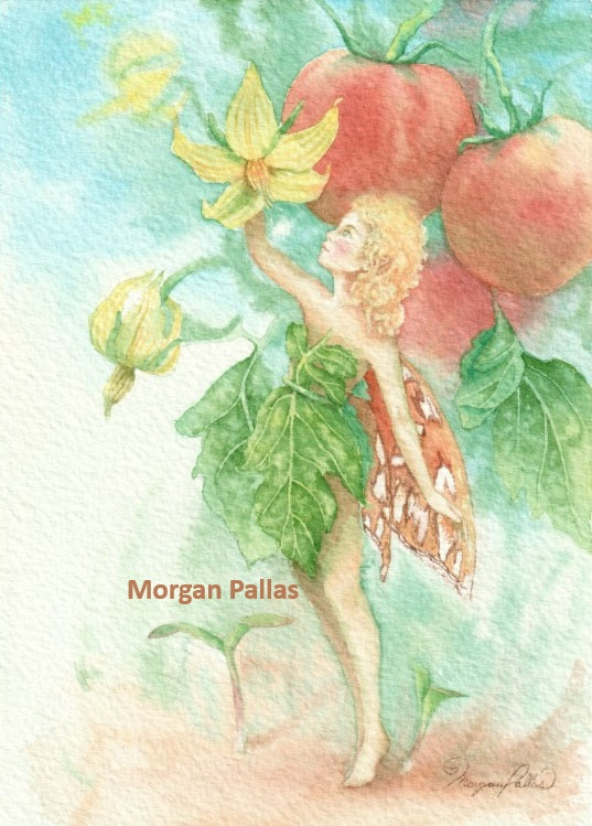 "Tomato Fairy #1" Limited Edition Fine Art Reproduction